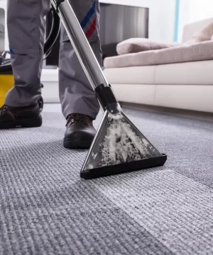 carpet cleaning